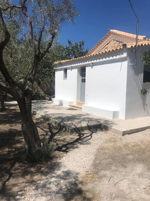 Πέτρινη Κατοικία Στην Αίγινα - Stone House In Aigina Khloi 외부 사진